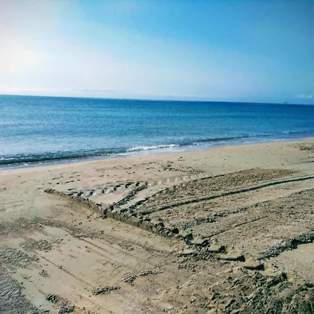 239 Amazing Penthouse Cabo Roig-alicante Apartment *